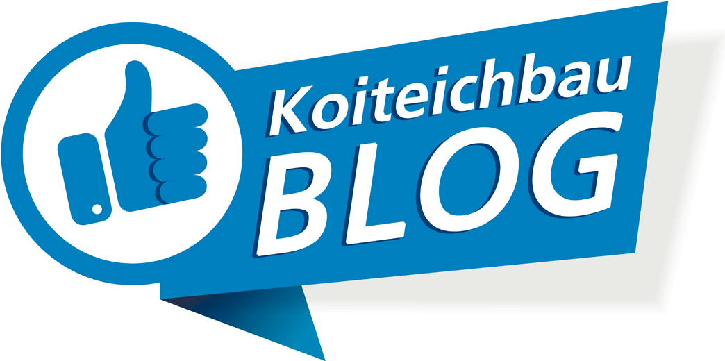 Koiteichbau-Blog